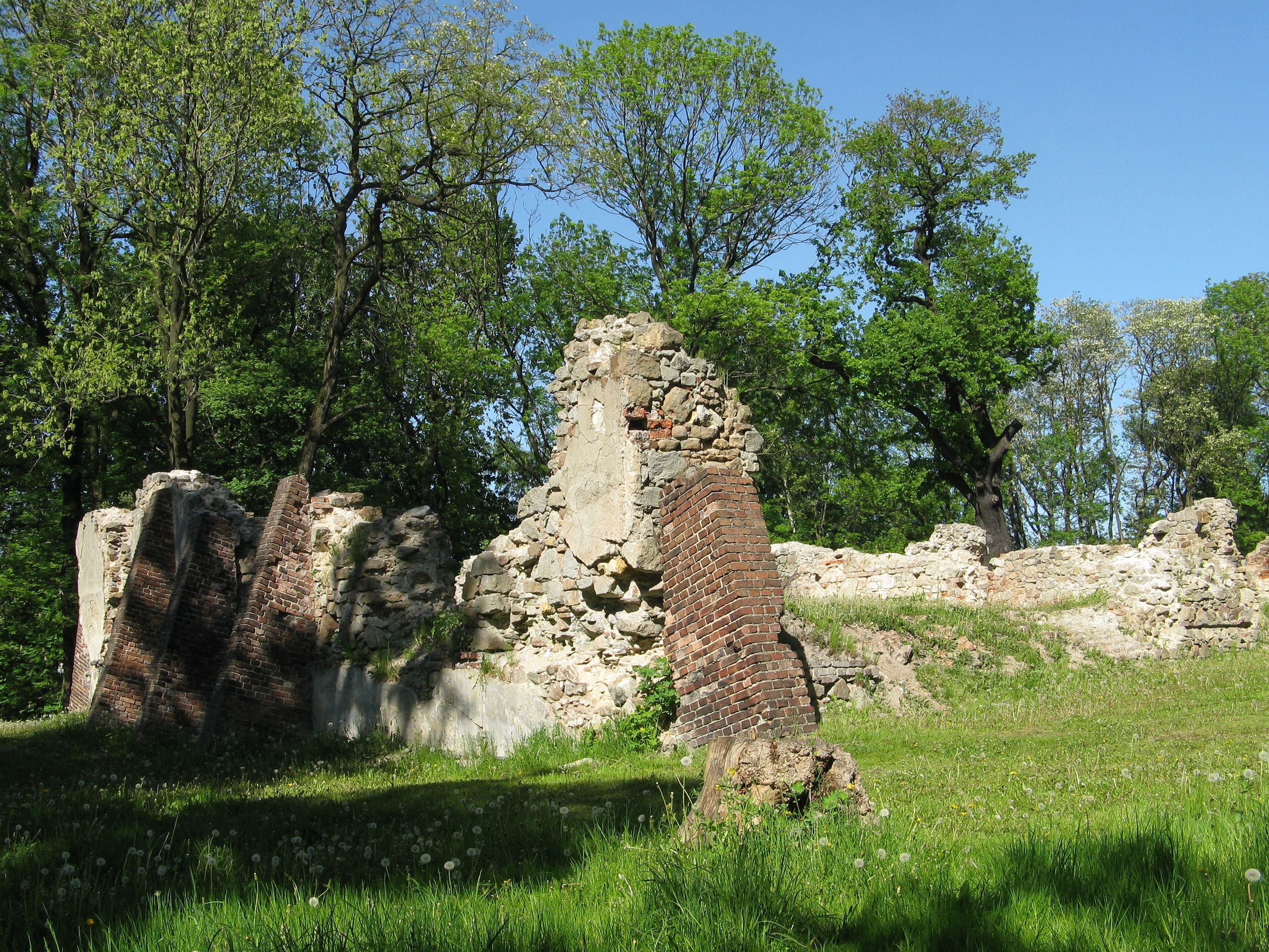 Zamek w Rudzie Śląskiej